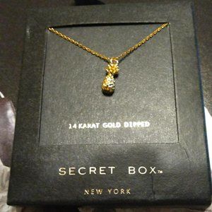 Secret Box 14K Gold Pineapple Necklace